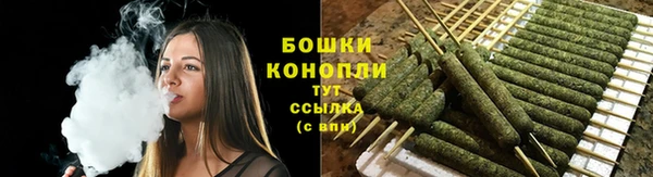 амф Арсеньев